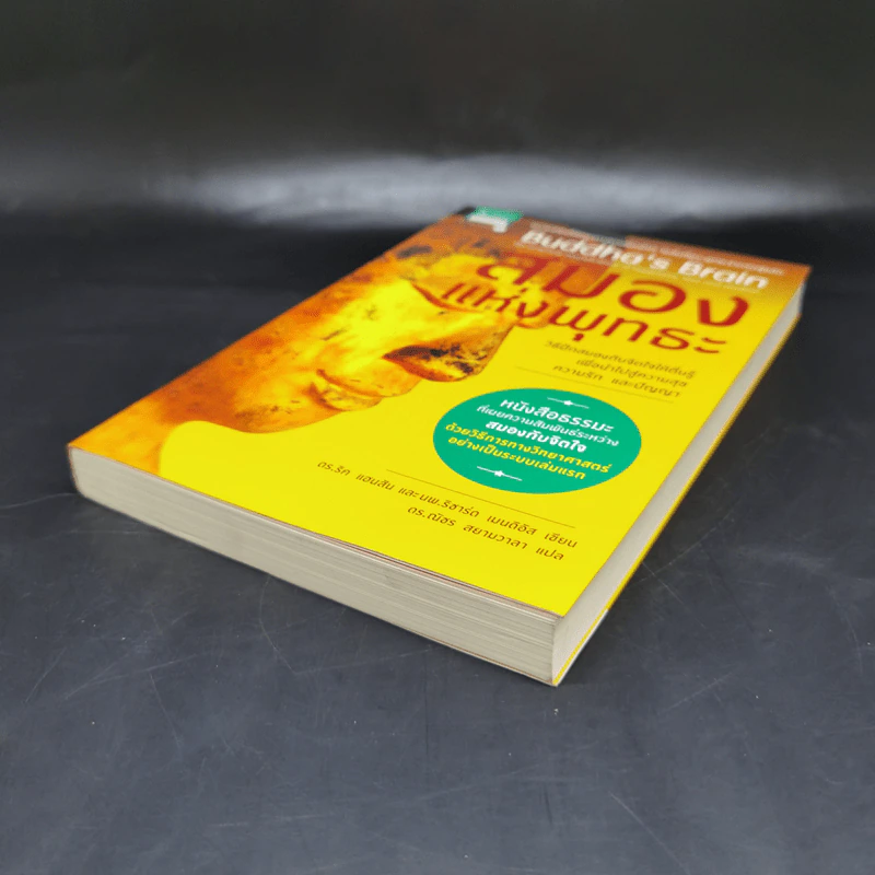 สมองแห่งพุทธะ : Buddha's Brain - Richard Mendius (ริชาร์ด แมนดิอัส), Rick Hanson (ริค แฮนสัน) รูปที่ 7
