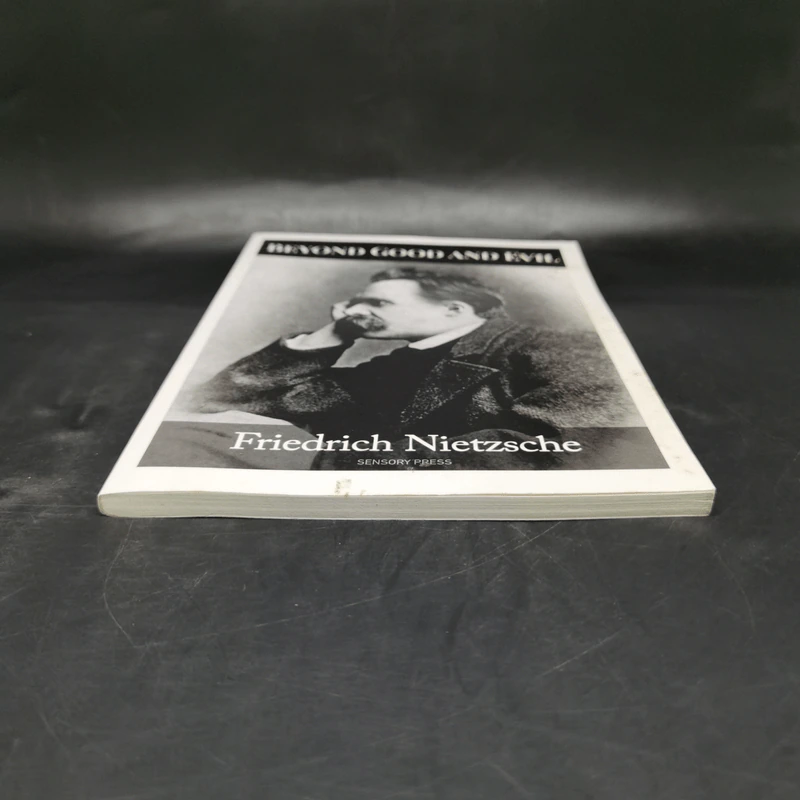 Beyond Good and Evil - Friedrich Nietzsche รูปที่ 4