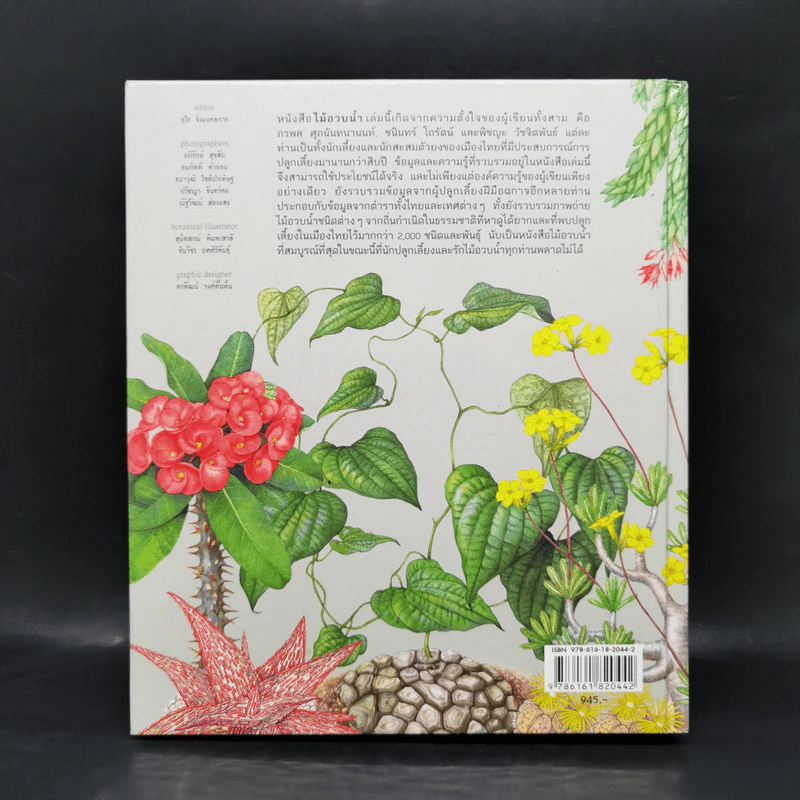 ไม้อวบน้ำ Succulents - ภวพล ศุภนันทนานนท์ รูปที่ 2