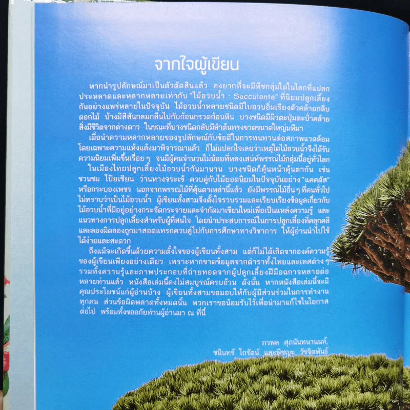 ไม้อวบน้ำ Succulents - ภวพล ศุภนันทนานนท์ รูปที่ 10