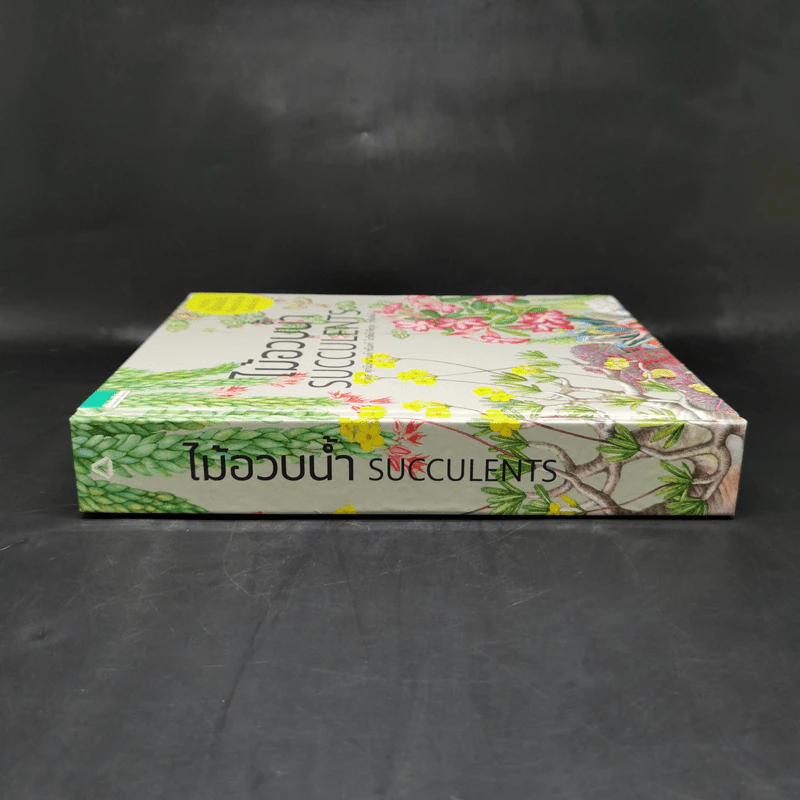 ไม้อวบน้ำ Succulents - ภวพล ศุภนันทนานนท์ รูปที่ 3