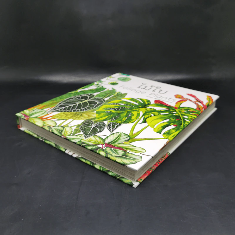 ไม้ใบ Foliage Plants - ภวพล ศุภนันทนานนท์ รูปที่ 7