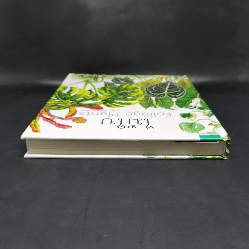 ไม้ใบ Foliage Plants - ภวพล ศุภนันทนานนท์ รูปที่ 6