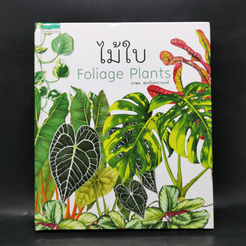 ไม้ใบ Foliage Plants - ภวพล ศุภนันทนานนท์ รูปที่ 1