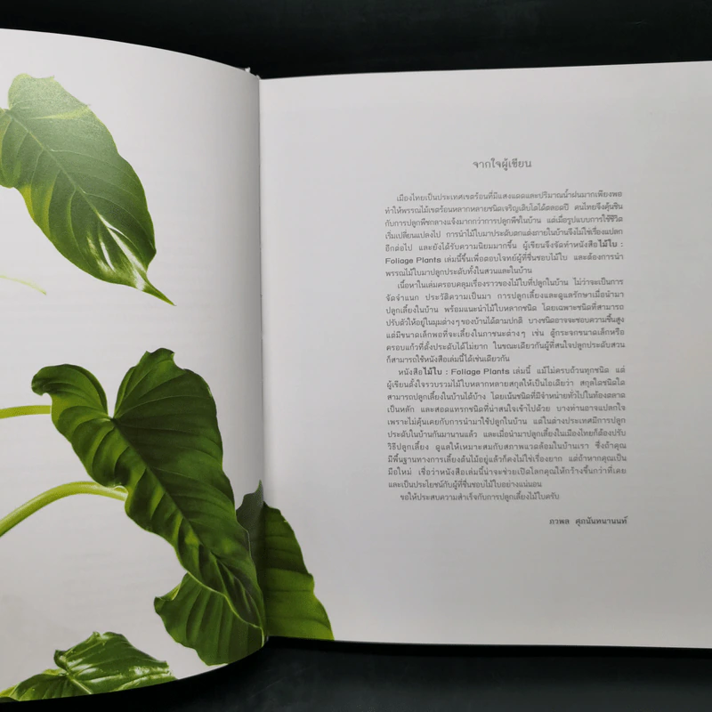 ไม้ใบ Foliage Plants - ภวพล ศุภนันทนานนท์ รูปที่ 10