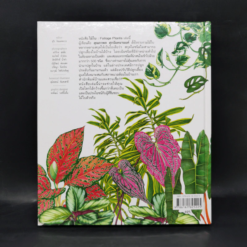 ไม้ใบ Foliage Plants - ภวพล ศุภนันทนานนท์ รูปที่ 2