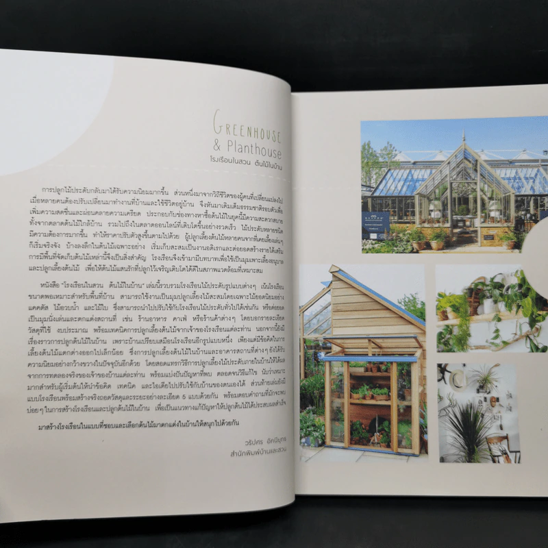 โรงเรือนในสวน ต้นไม้ในบ้าน - วรัปศร อัคนียุทธ รูปที่ 8