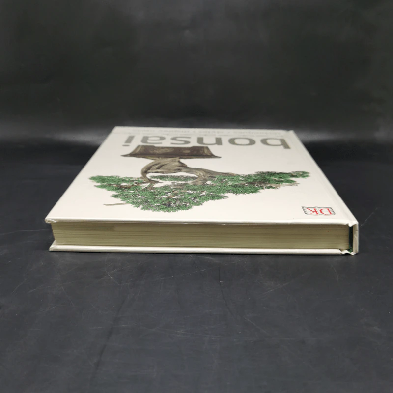 Bonsai - DK รูปที่ 6