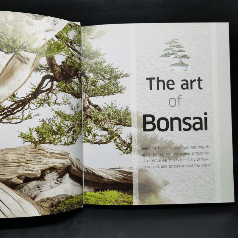 Bonsai - DK รูปที่ 10