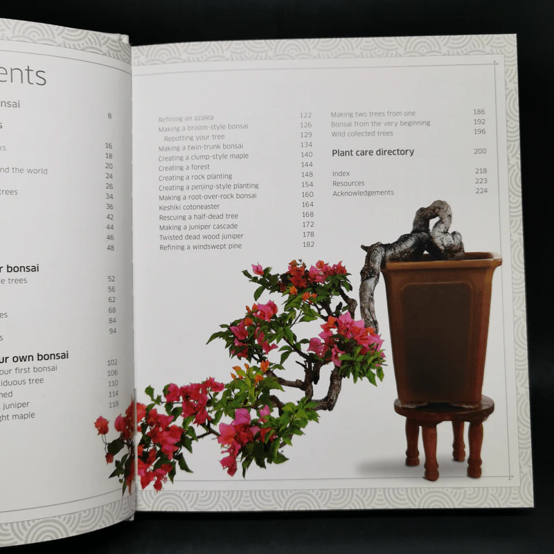 Bonsai - DK รูปที่ 9
