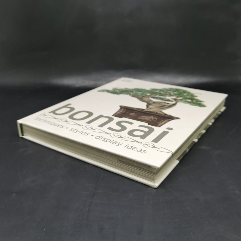Bonsai - DK รูปที่ 7