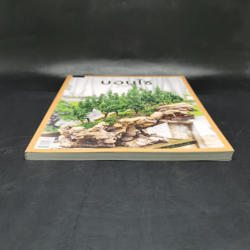 บอนไซ Bonsai - ภวพล ศุภนันทนานนท์ รูปที่ 4