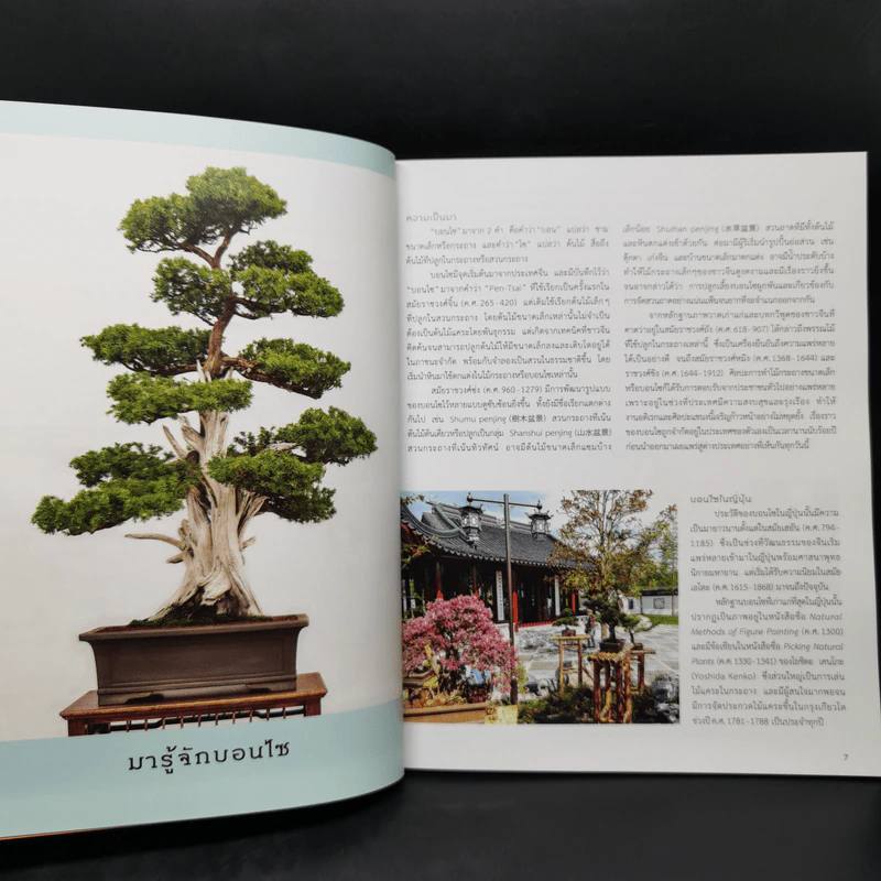 บอนไซ Bonsai - ภวพล ศุภนันทนานนท์ รูปที่ 11