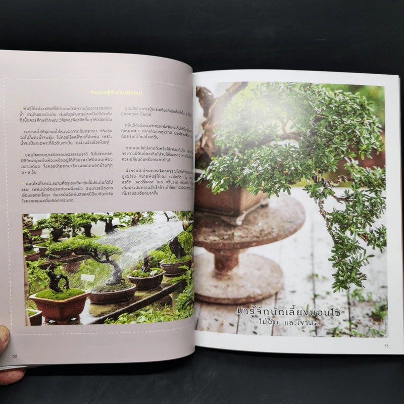 บอนไซ Bonsai - ภวพล ศุภนันทนานนท์ รูปที่ 13