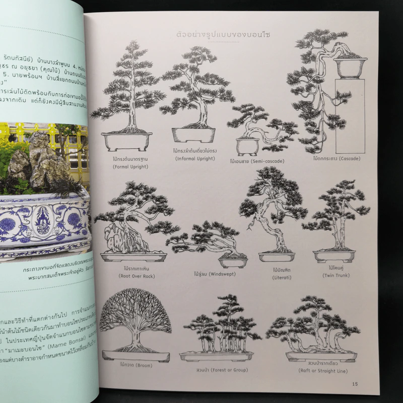 บอนไซ Bonsai - ภวพล ศุภนันทนานนท์ รูปที่ 12
