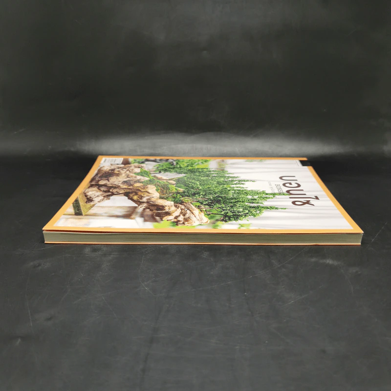บอนไซ Bonsai - ภวพล ศุภนันทนานนท์ รูปที่ 5