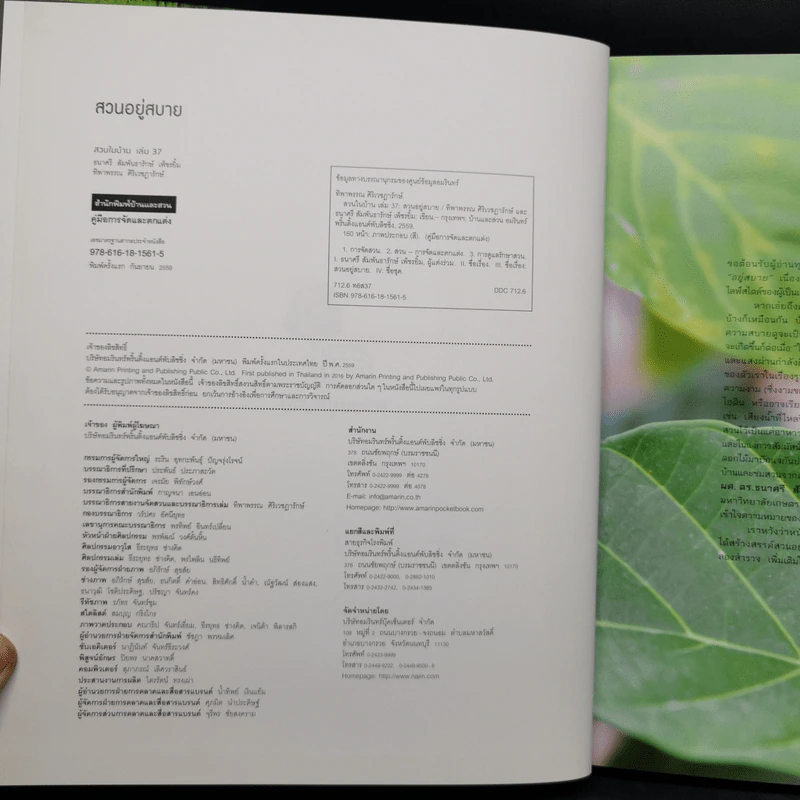สวนในบ้านเล่ม 37 สวนอยู่สบาย Cozy Garden - ทิพาพรรณ ศิริเวชฎารักษ์, ธนาศรี สัมพันธา รูปที่ 8