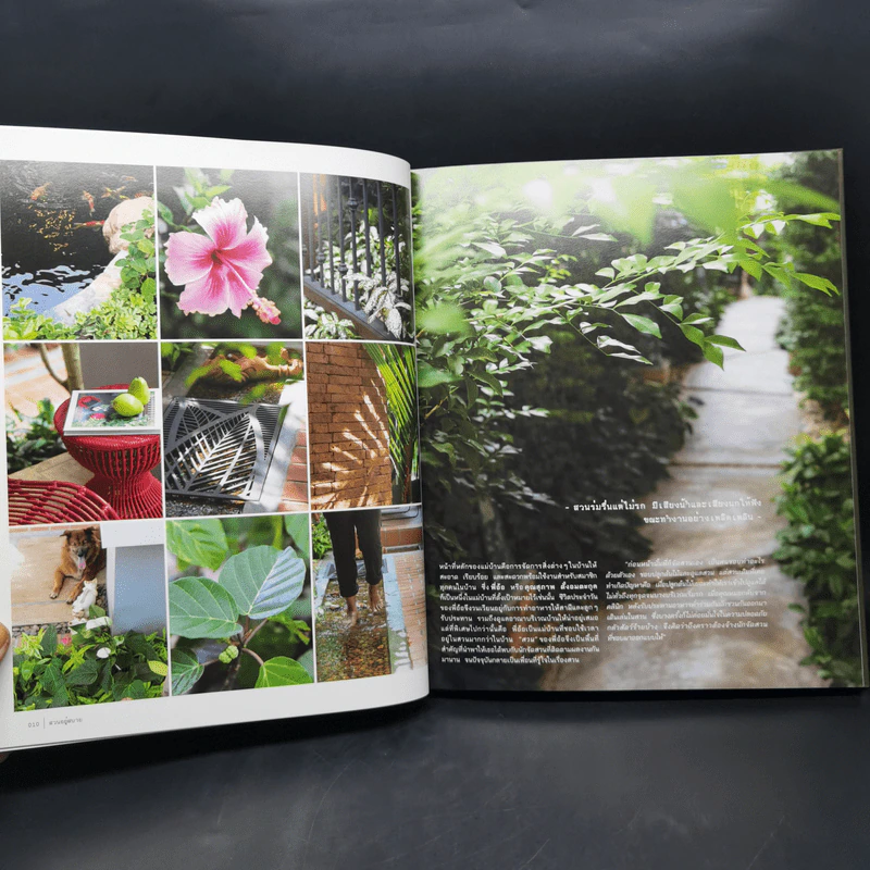 สวนในบ้านเล่ม 37 สวนอยู่สบาย Cozy Garden - ทิพาพรรณ ศิริเวชฎารักษ์, ธนาศรี สัมพันธา รูปที่ 10