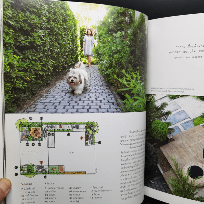 สวนในบ้านเล่ม 37 สวนอยู่สบาย Cozy Garden - ทิพาพรรณ ศิริเวชฎารักษ์, ธนาศรี สัมพันธา รูปที่ 12