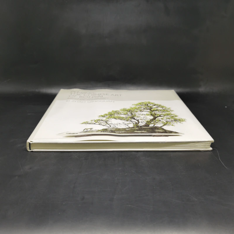 Penjing: The Chinese Art of Bonsai - Zhzo Qingquan รูปที่ 4