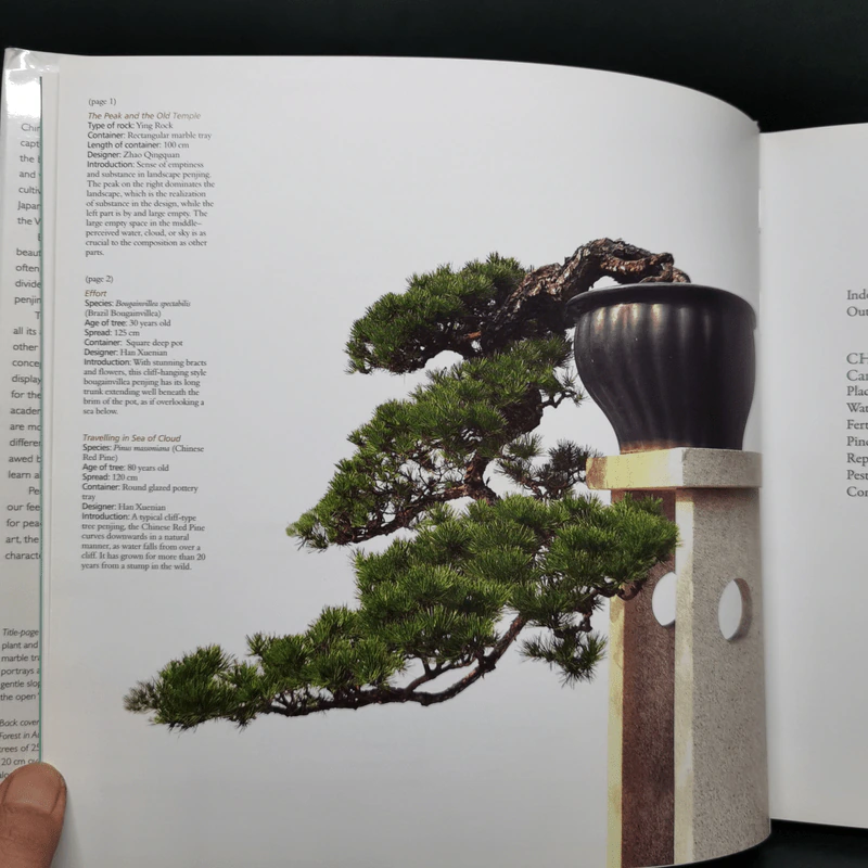 Penjing: The Chinese Art of Bonsai - Zhzo Qingquan รูปที่ 10