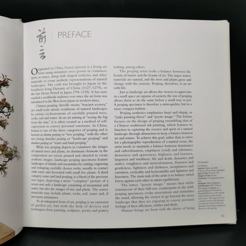 Penjing: The Chinese Art of Bonsai - Zhzo Qingquan รูปที่ 13