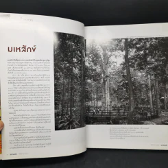 สารคดี ปีที่ 32 ฉบับที่ 381 พ.ย.2559 อาหารการกิน รูปที่ 9