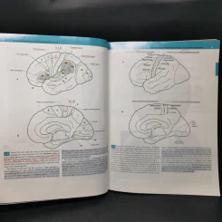 Neuroanatomy in Clinical Context รูปที่ 15