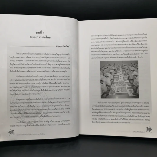 กลไกของตลาดการเงินในระบบเศรษฐกิจไทย - อัญญา ขันธวิทย์ รูปที่ 14