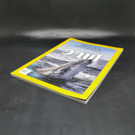 National Geographic พ.ค.2564 ฉบับพิเศษ: มหาสมุทร ความลับของเหล่าวาฬ รูปที่ 7