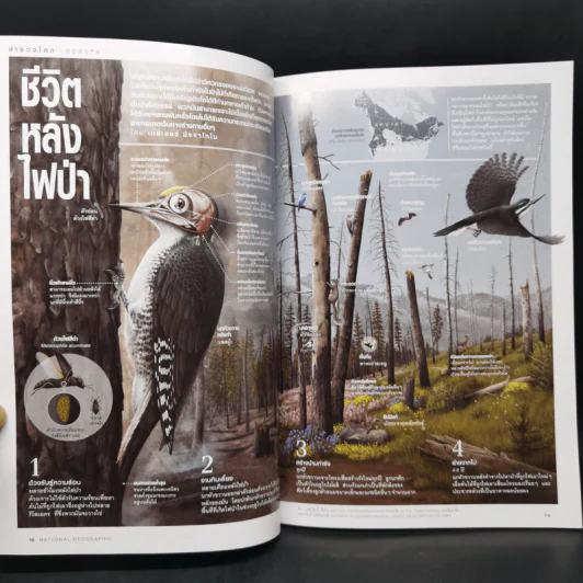National Geographic มิ.ย.2564 Mars ทำไมเราจึงหลงใหลดาวอังคารถึงเพียงนี้ รูปที่ 9