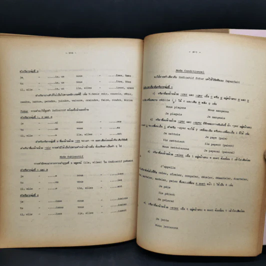 หน่วยคำในภาษาฝรั่งเศส - ผศ.ดร.จินตนา ตันติเวชกุล รูปที่ 10