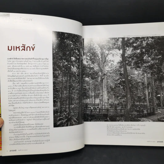 สารคดี ปีที่ 32 ฉบับที่ 381 พ.ย.2559 อาหารการกิน รูปที่ 9