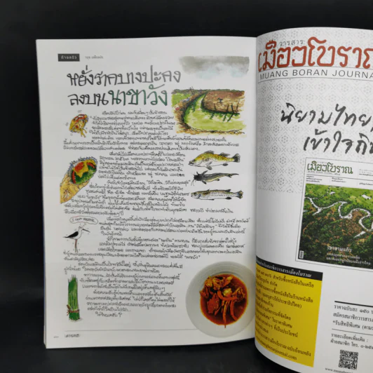 Feature Magazine สารคดี ฉบับที่ 425 ส.ค.2563 ไดโนเสาร์พันธุ์ไทย รูปที่ 12