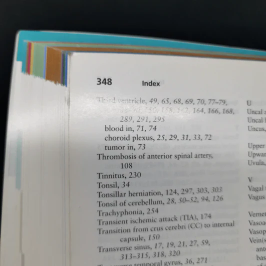 Neuroanatomy in Clinical Context รูปที่ 16