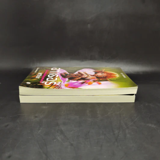 อาเธอร์ Arthur Boxset เล่ม 1-2 รูปที่ 7