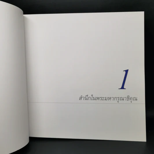 ทักษิณชินวัตร ชีวิตและงาน รูปที่ 12