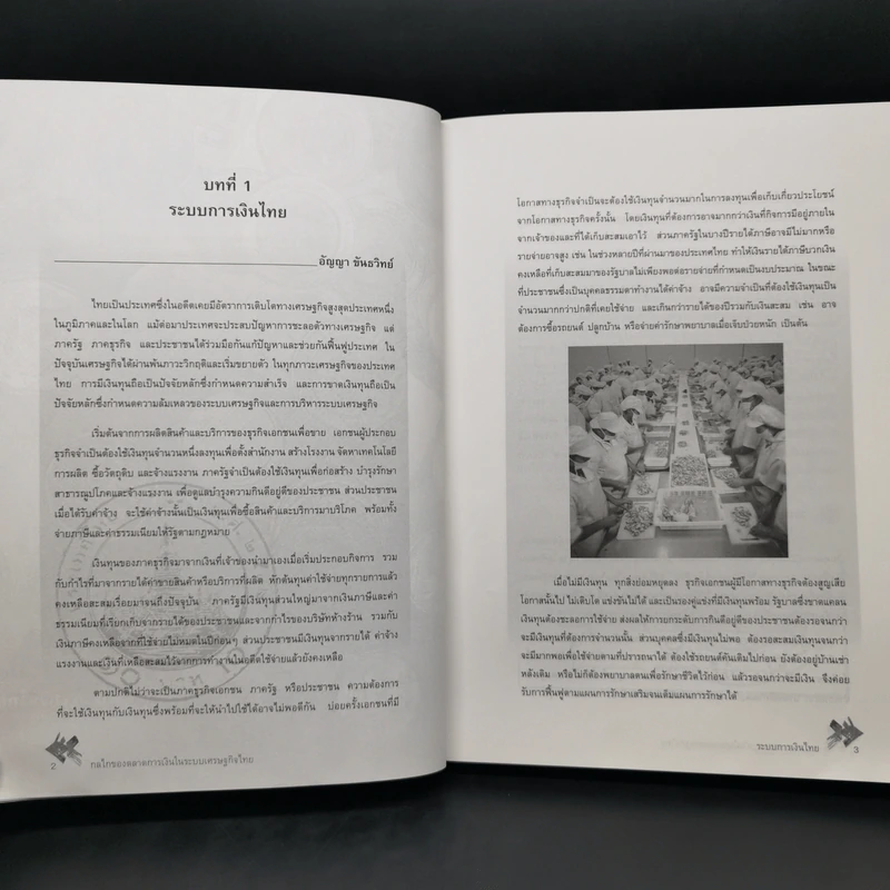 กลไกของตลาดการเงินในระบบเศรษฐกิจไทย - อัญญา ขันธวิทย์ รูปที่ 14