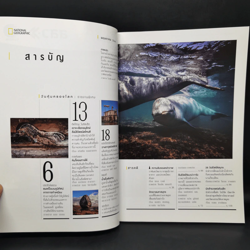 National Geographic พ.ค.2564 ฉบับพิเศษ: มหาสมุทร ความลับของเหล่าวาฬ รูปที่ 8