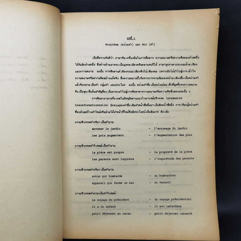 หน่วยคำในภาษาฝรั่งเศส - ผศ.ดร.จินตนา ตันติเวชกุล รูปที่ 9