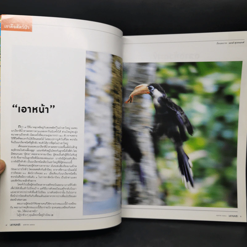 สารคดี ปีที่ 31 ฉบับที่ 362 เม.ย.2558 อวสานกรุงศรี รูปที่ 9