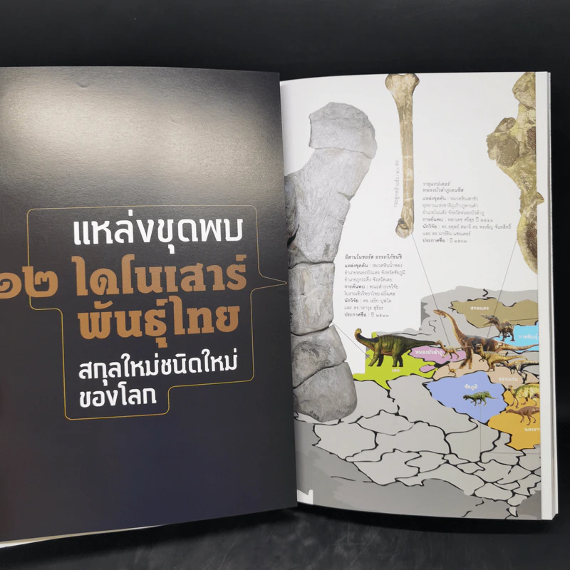Feature Magazine สารคดี ฉบับที่ 425 ส.ค.2563 ไดโนเสาร์พันธุ์ไทย รูปที่ 11