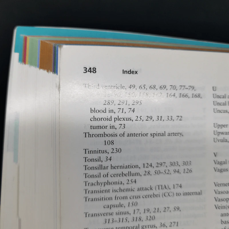 Neuroanatomy in Clinical Context รูปที่ 16