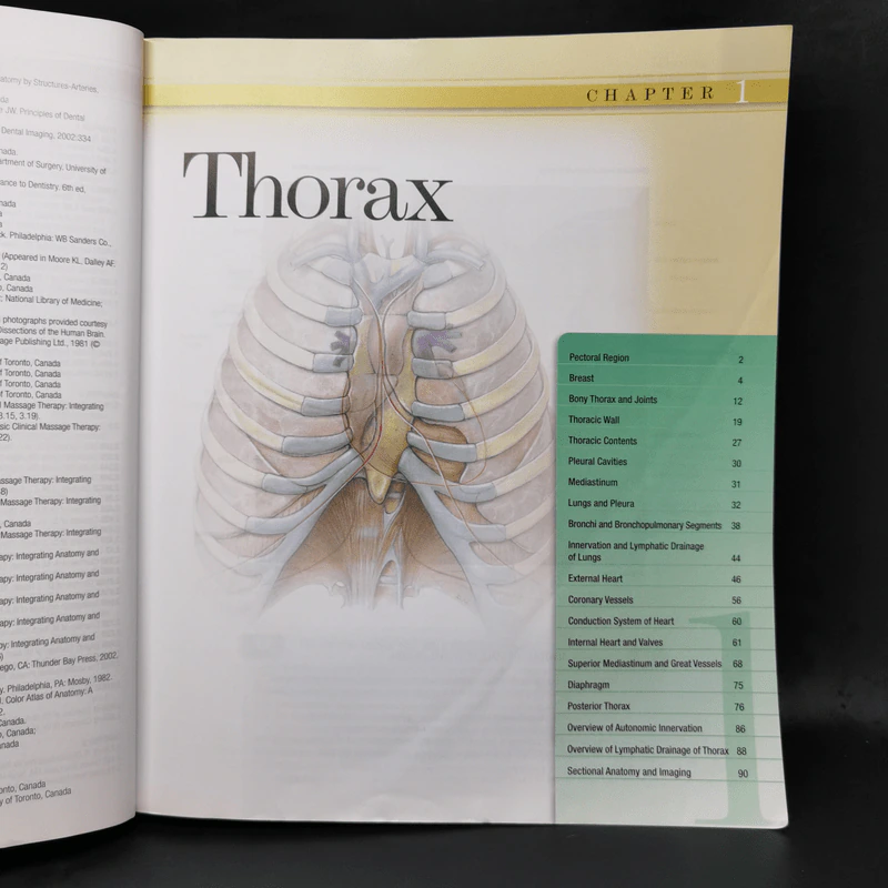 Grant's Atlas of Anatomy รูปที่ 13