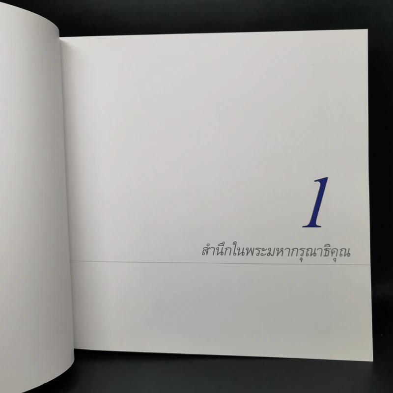 ทักษิณชินวัตร ชีวิตและงาน รูปที่ 12