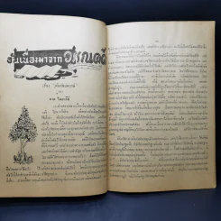 วารสารวัฒนธรรมไทย ปีที่ 2 ฉบับที่ 4 มิ.ย.2505 รูปที่ 11