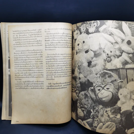 ศิลปวัฒนธรรม ฉบับพิเศษ ของเล่นของโลก ปรานี วงษ์เทศ รูปที่ 13