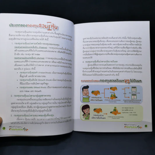 ให้เงินทำงานผ่านกองทุนรวมหุ้น รูปที่ 11