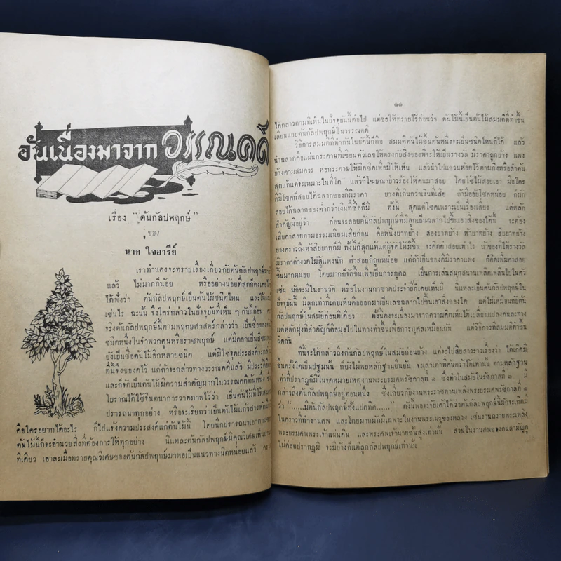 วารสารวัฒนธรรมไทย ปีที่ 2 ฉบับที่ 4 มิ.ย.2505 รูปที่ 11