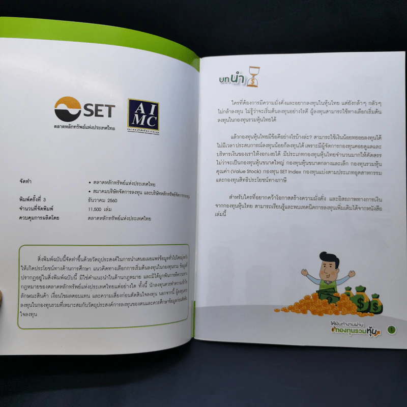 ให้เงินทำงานผ่านกองทุนรวมหุ้น รูปที่ 8
